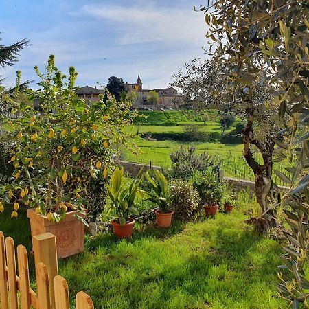 Casa Guardiavigna In Chianti Apartment San Gusme Ngoại thất bức ảnh