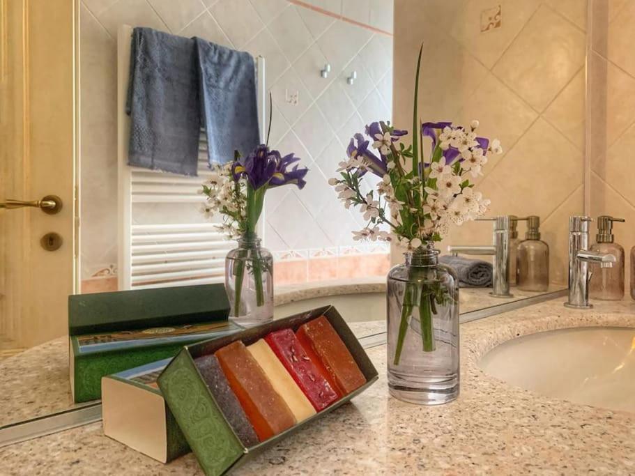 Casa Guardiavigna In Chianti Apartment San Gusme Ngoại thất bức ảnh