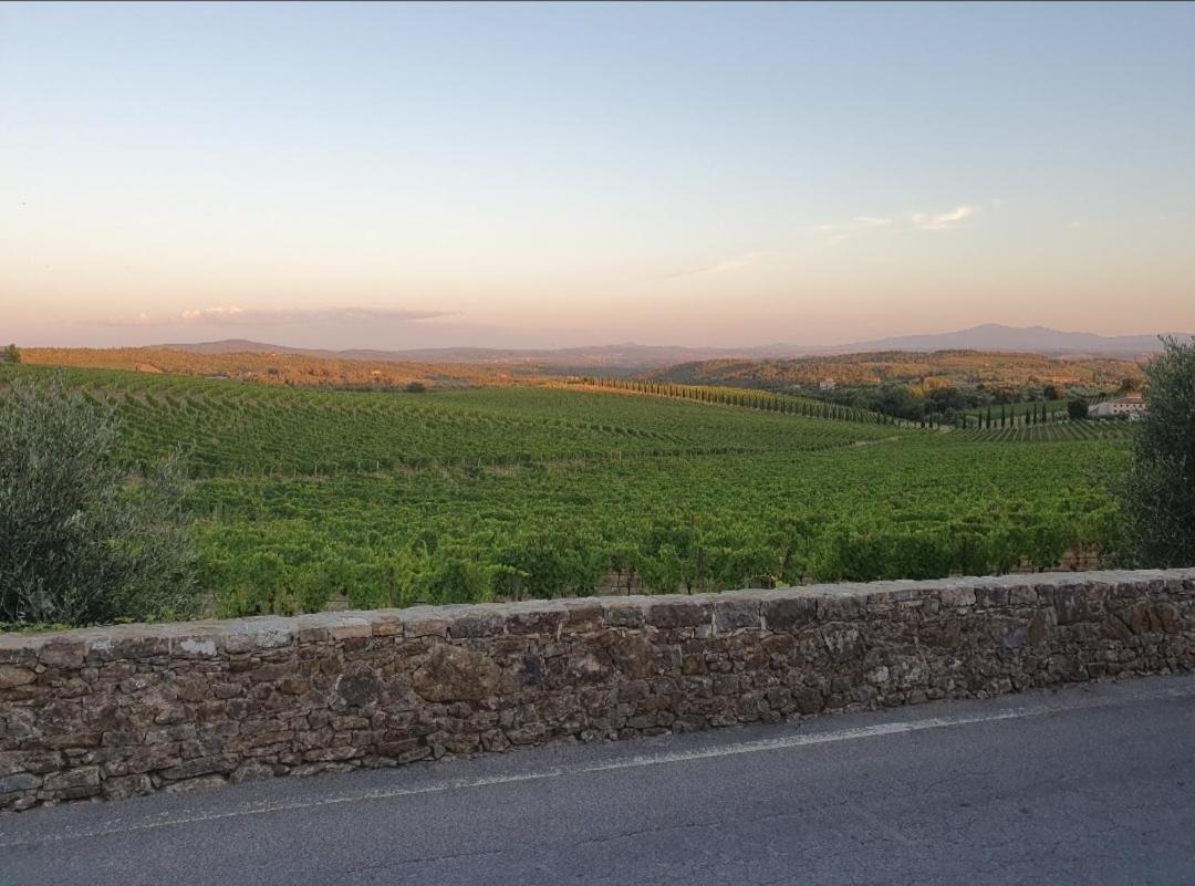 Casa Guardiavigna In Chianti Apartment San Gusme Ngoại thất bức ảnh